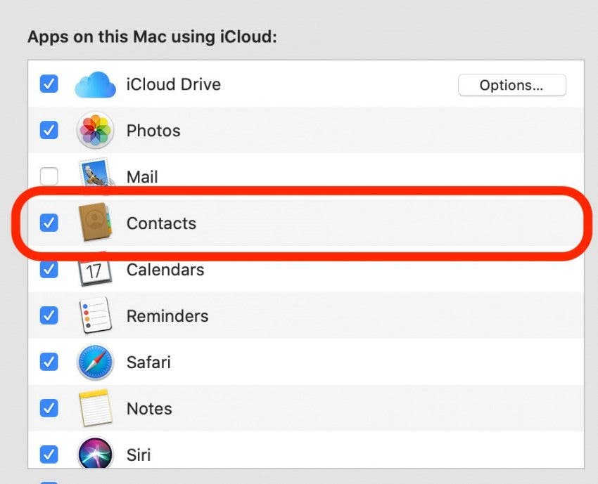 sync outlook 365 for mac with icloud contacts