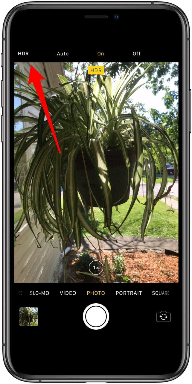 camera plus pro pictures to camera roll