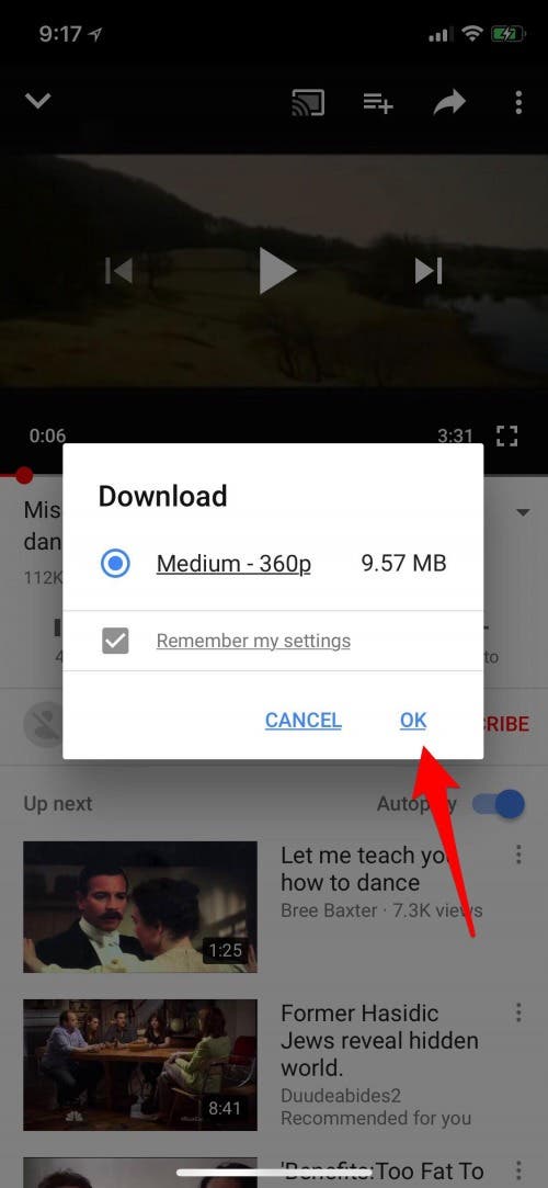 youtube music downloader app for iphone