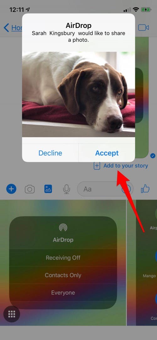 How to Turn on AirDrop & Receive AirDrop Files on iPhone | iPhoneLife.com