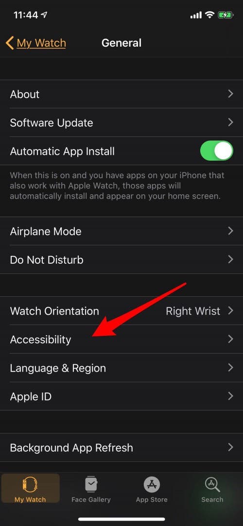 accessibility features