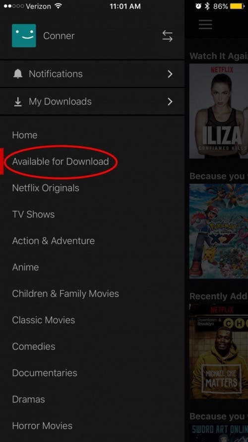 Netflix Download Manual Get Movies & Shows to Watch